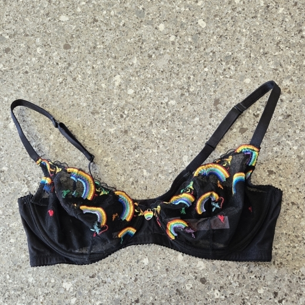 Savage Fenty 40DD Black Sheer Rainbow Embroidered‎ Demi Bra